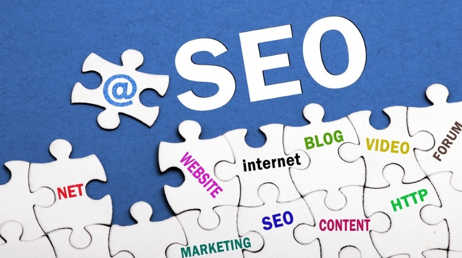 SEO Service Provider