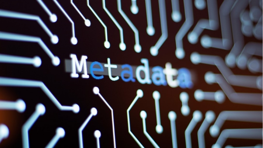Metadata Management