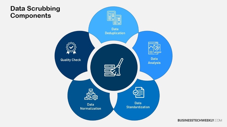 Data Scrubbing Components
